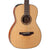 Takamine CP3NYK New Yorker Acoustic Guitar
