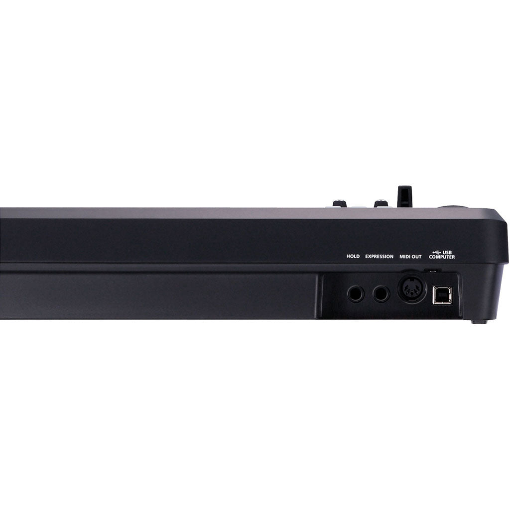 Roland A49BK Midi Keyboard Controller - Black-Sky Music