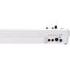 Roland A49WH MIDI Keyboard Controller Pearl White