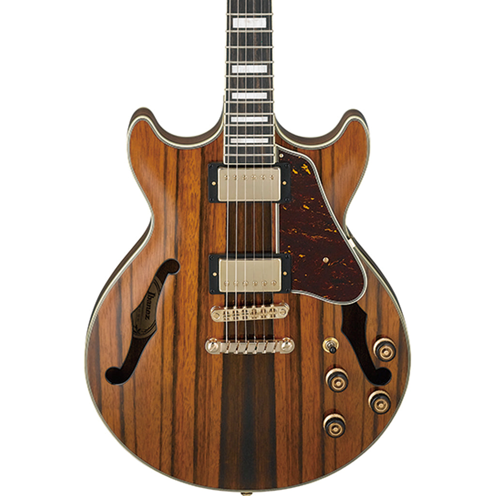 Ibanez AM93ME Hollow Body - Natural