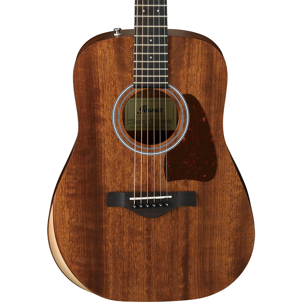 Ibanez AW54JR - Artwood Acoustic Guitar - Open Pore Natural