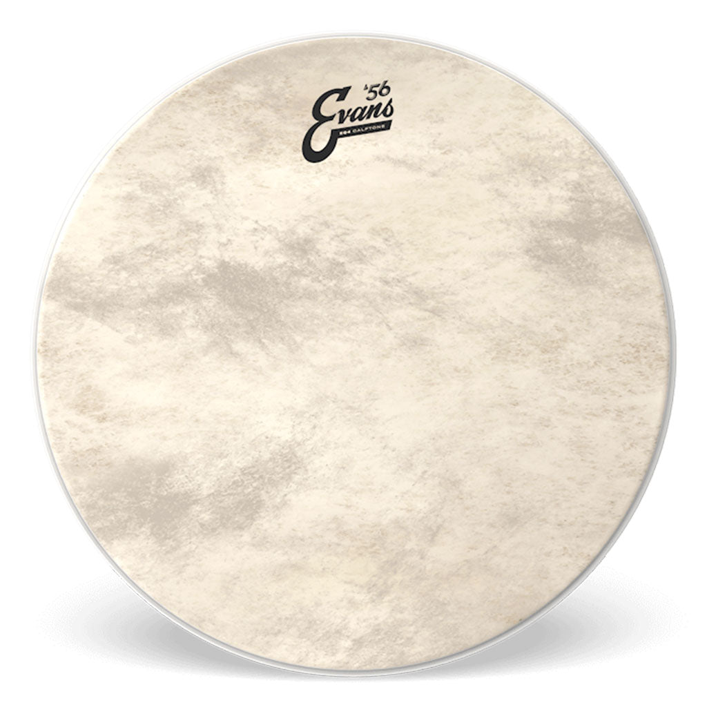 Evans - 22" EQ4 - Batter Calftone