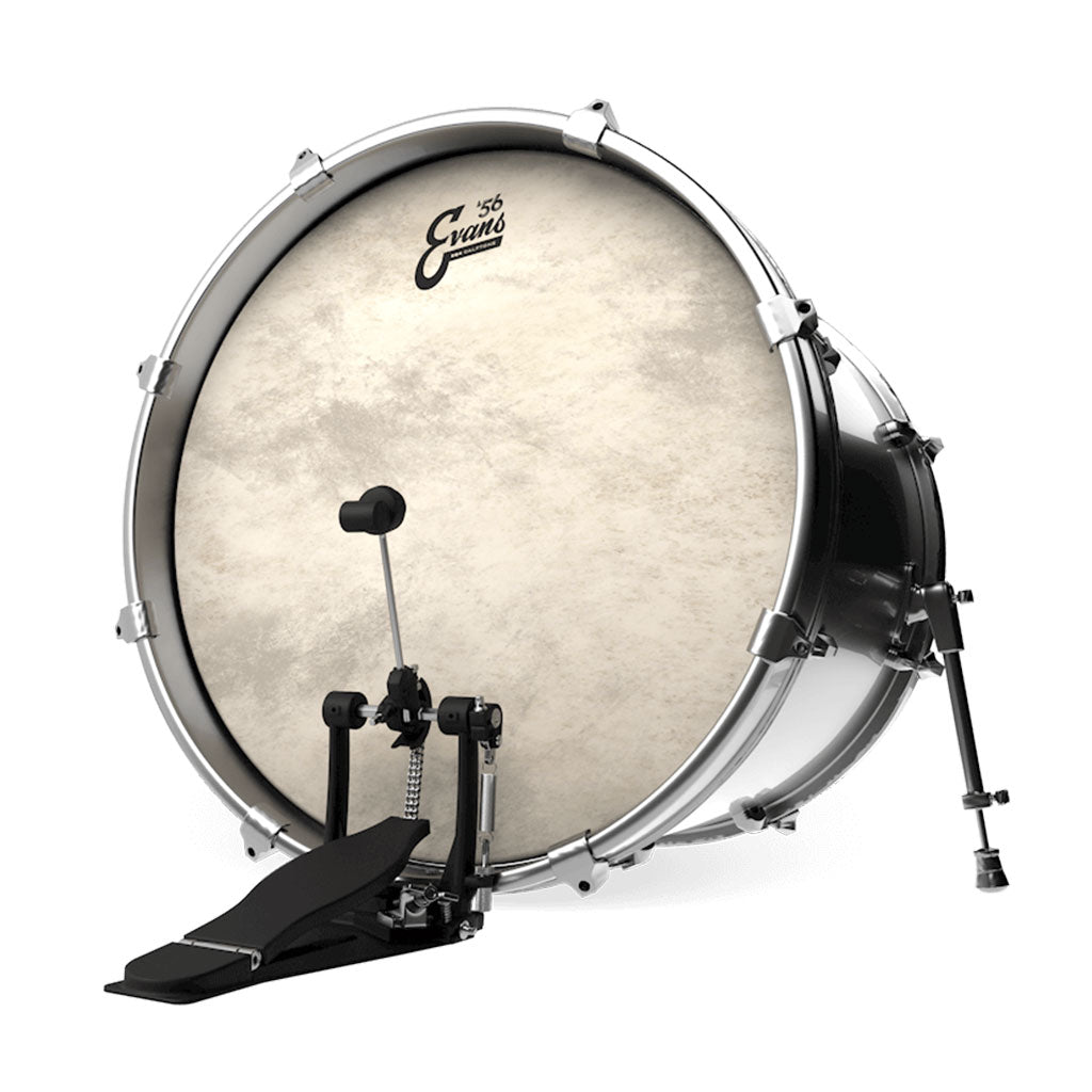 Evans - 22" EQ4 - Batter Calftone