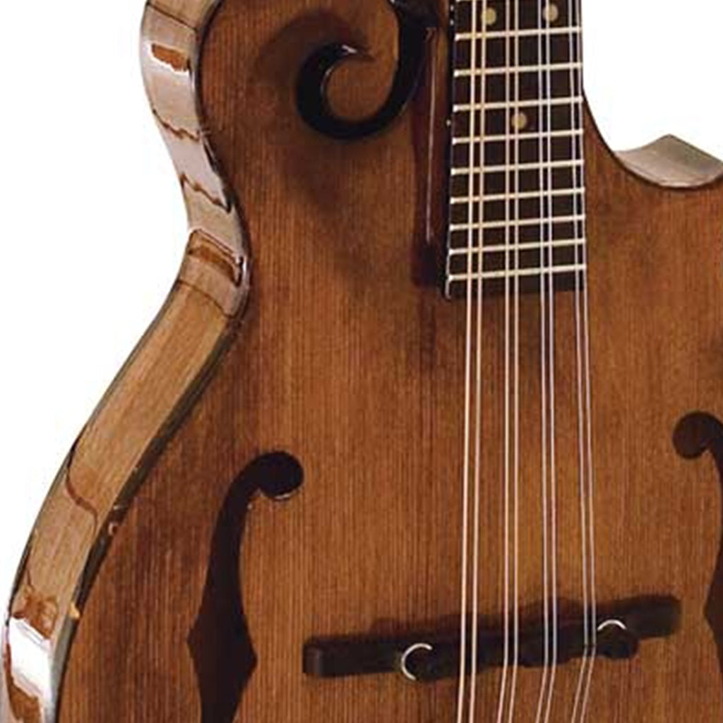 Barnes & Mullins Salvino Mandolin