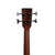 Sigma BME Acoustic Bass-Sky Music