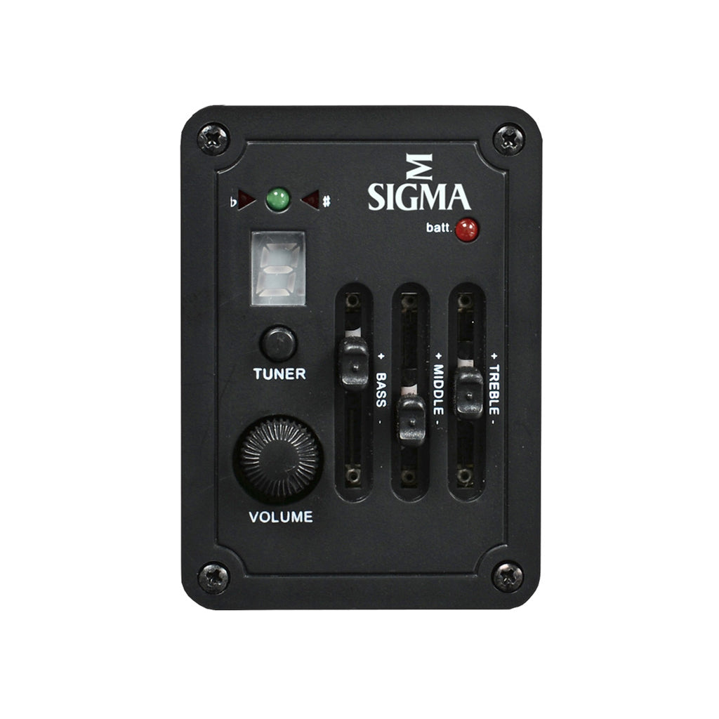 Sigma BME Acoustic Bass-Sky Music