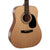 Cort CAP810 Guitar Pack