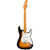 Squier Classic Vibe 50s Stratocaster 2 Tone Sunburst Maple Neck