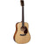 Martin D18MD Modern Deluxe Dreadnought