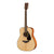 Yamaha Gigmaker FG800NT Acoustic Guitar Pack
