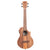 Kala - Tenor Ukulele with Cutaway + EQ - Teak