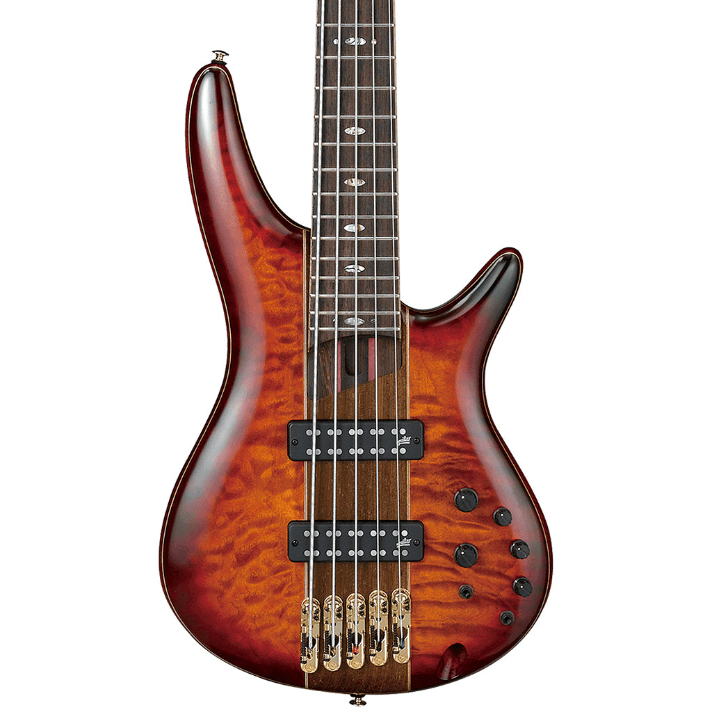 Ibanez SR2405W String Premium Bass Brown Topaz Burst