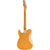 Fender Player Plus Telecaster® - Maple Fingerboard - Butterscotch Blonde