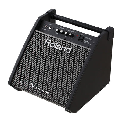 Roland PM-100 Personal Monitor-Sky Music