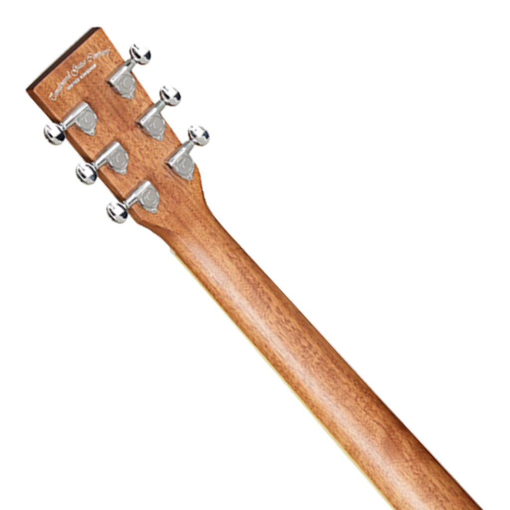 Tanglewood Winterleaf Dreadnought C E