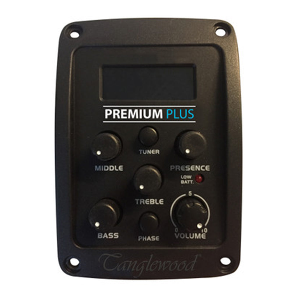 Tanglewood TW9 Winterleaf Folk C/E Acoustic Guitar