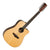 Tanglewood Java 12 String CE