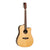 Tanglewood Java Dreadnought C E