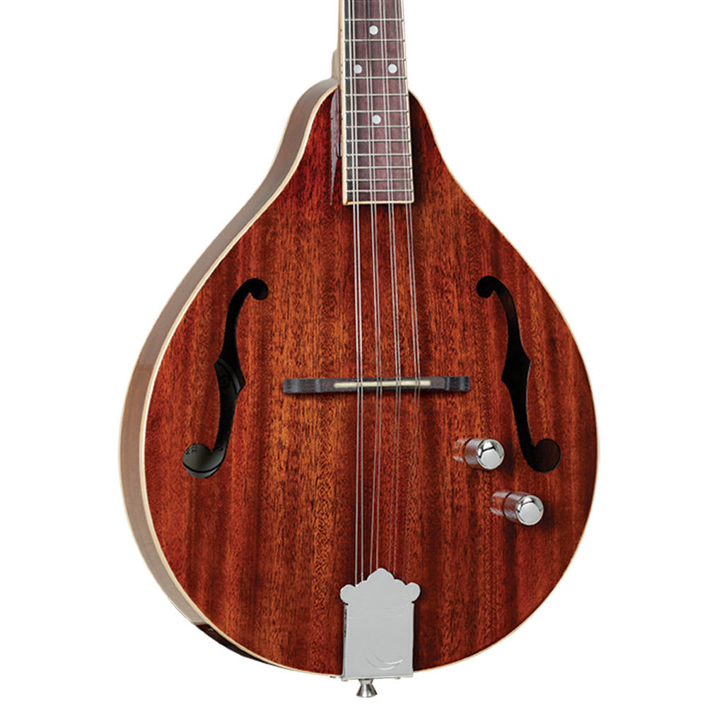 Tanglewood Solid Mahogany with Pickup
