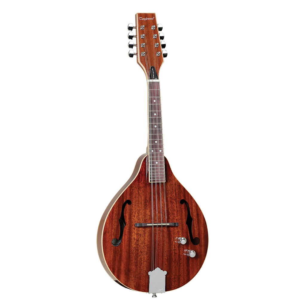 Tanglewood Solid Mahogany with Pickup