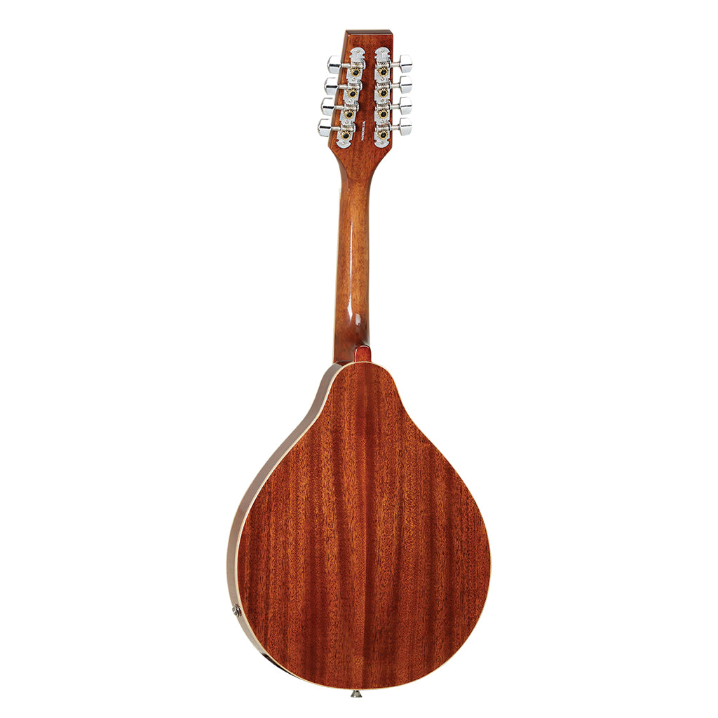 Tanglewood Solid Mahogany with Pickup