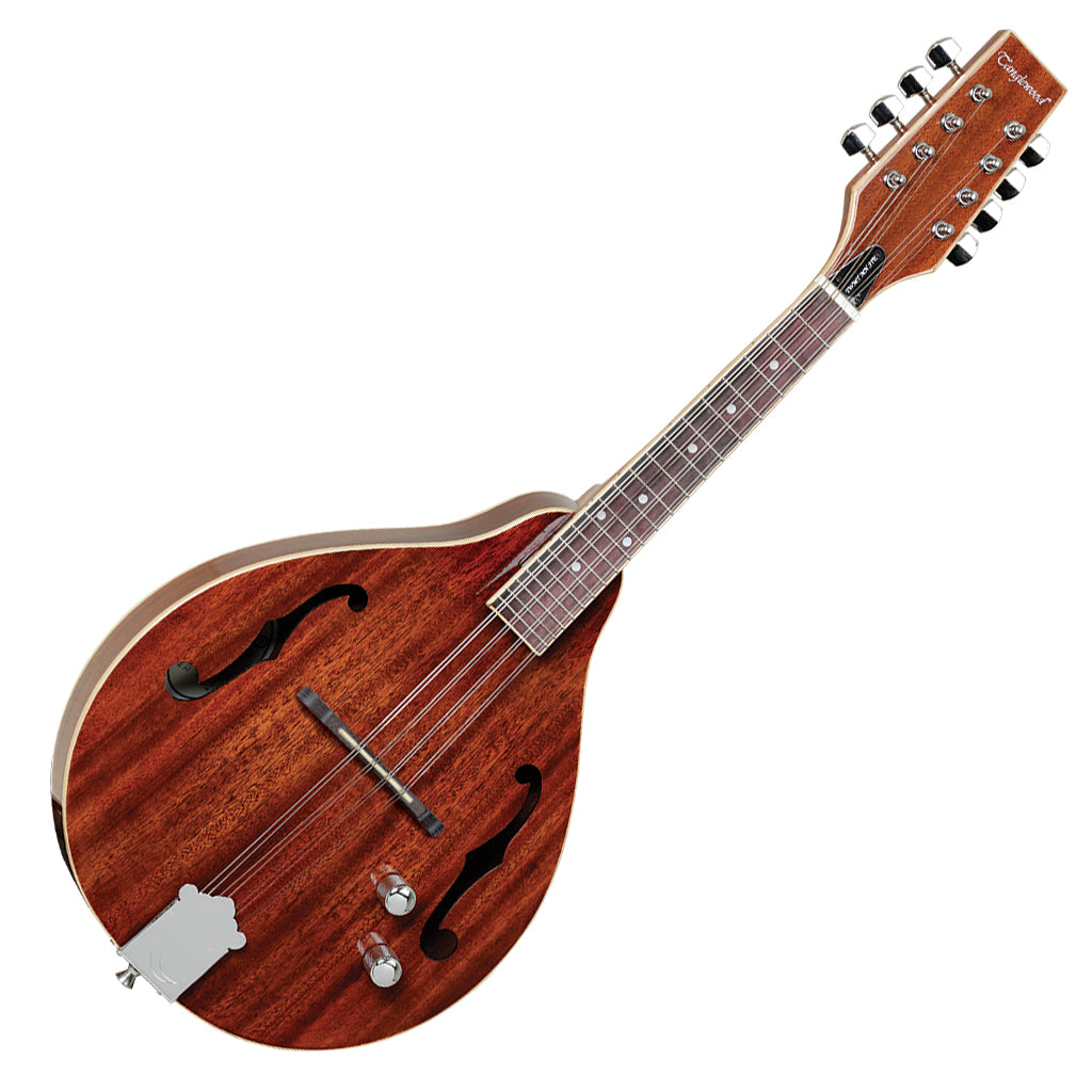 Tanglewood Solid Mahogany with Pickup